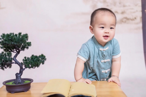 濮阳可爱的企鹅宝宝